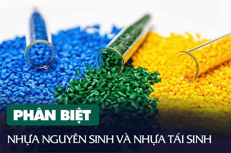 Hạt Nhựa Nguyên Sinh và Hạt Nhựa Tái Sinh: Sự Khác Biệt và Ứng Dụng